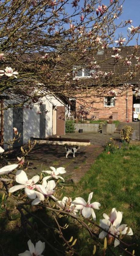 Ferienwohnung Mit Garten In Koeln Экстерьер фото